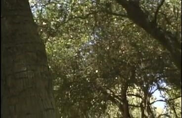 Tight little babes: Two busty lesbian couple having sex under a tree outdoor
