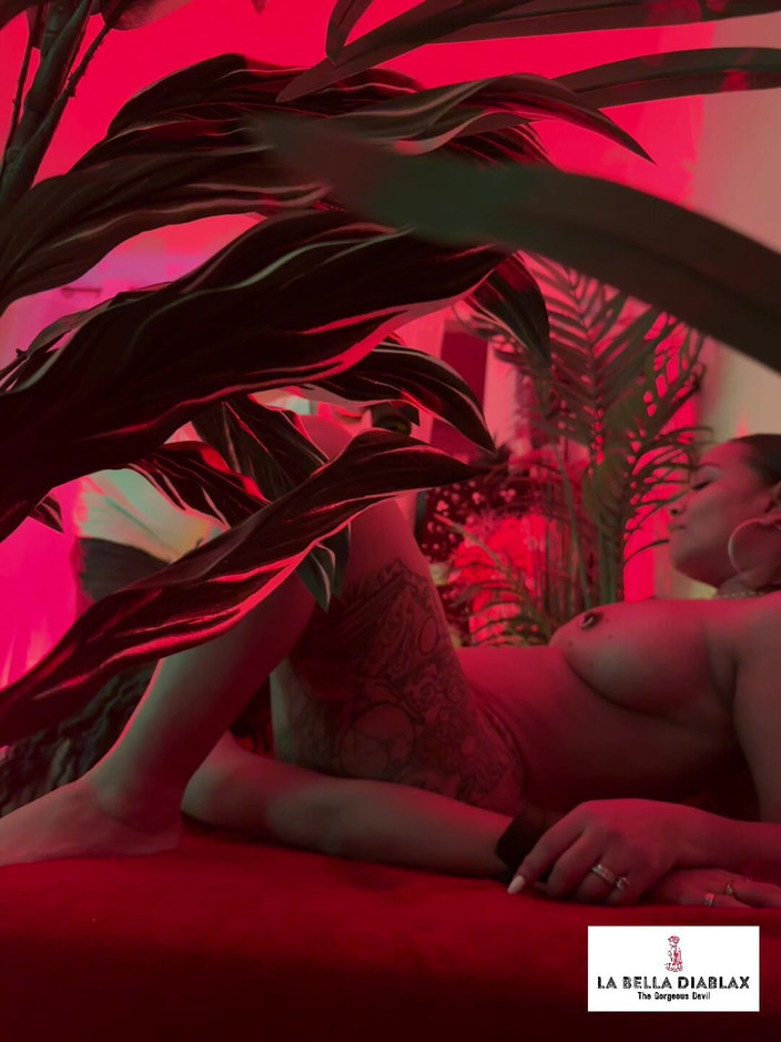 LaBellaDX: レッドパッションBTSとWetkittycityの関係