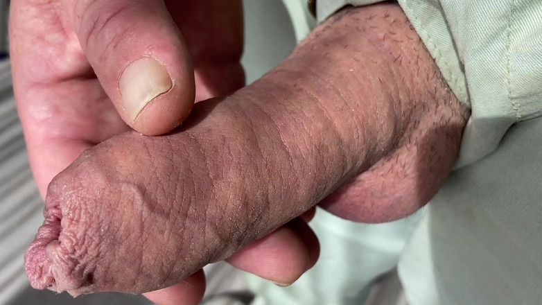 Foreskinguy: 거대한 절단되지 않은 버섯 자지를 클로즈업