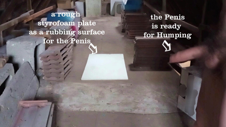 Mark Hannes: Rychlá masturbace starého úložiště