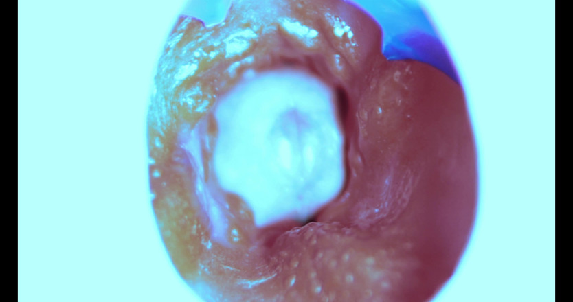 SEXY_GUYBEST: İçeriden nasıl sikişiyorum! kamera içeride!