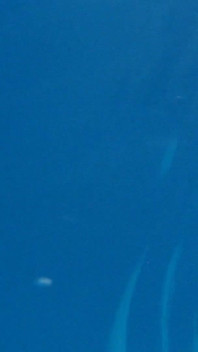 Unique Underwater Shots of Two Black Lesbians