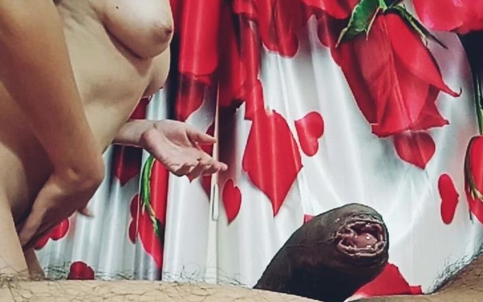 Bolly Karma: Ultra kočička ho nechá sledovat