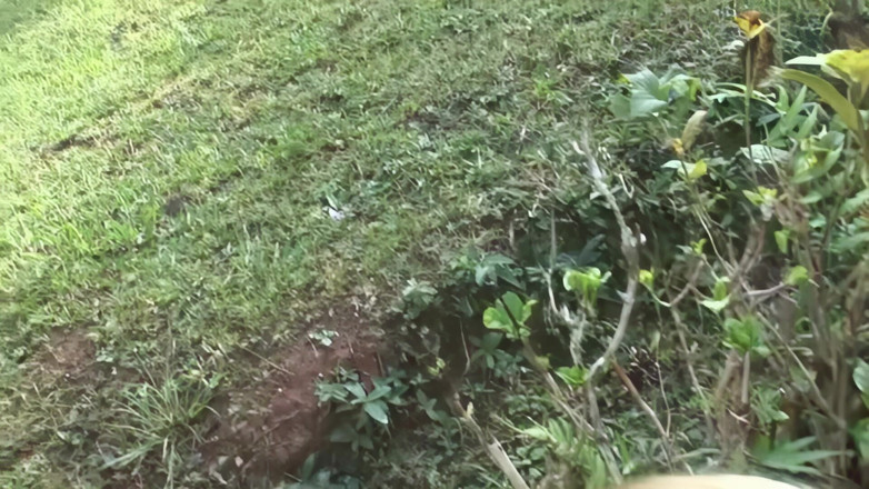 The Lesbians Megastore: Dlouhé prstění pro lesbické milenky