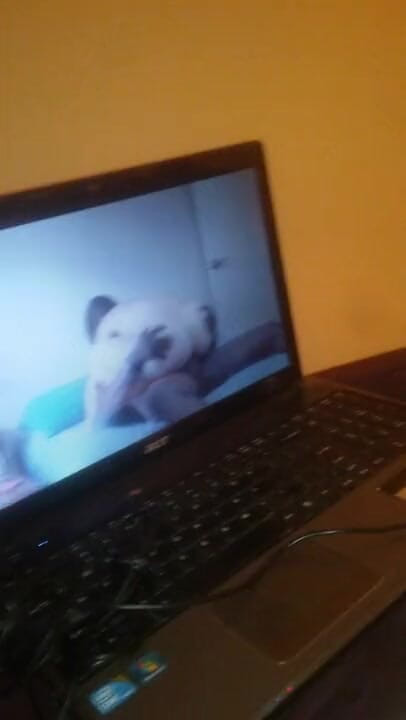 Gh0st781: Gocciolamento sgocciolamento