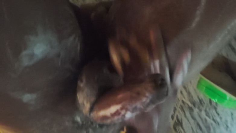 Black Devil: Chico indio tomando baño con gran polla