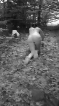 Slave Dog Training