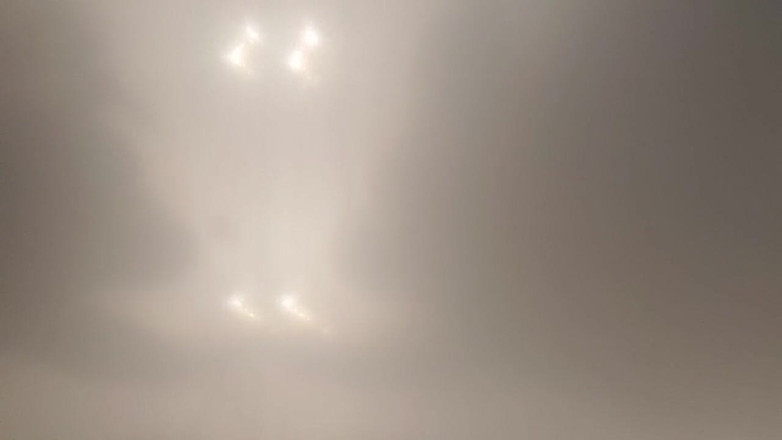 Skin and earth: Orso paffuto punto di vista dal basso. Grugnire e sborrata...