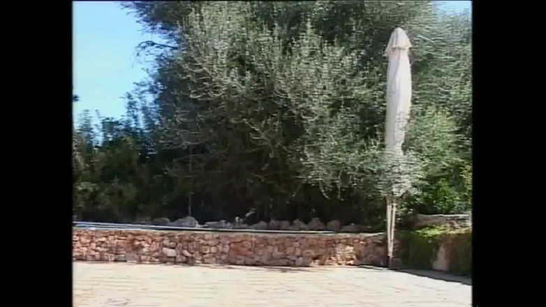 Cinema X: I Ungern är porr på topp i världsproduktionen