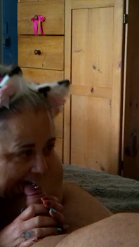 Kitty Meow Meow