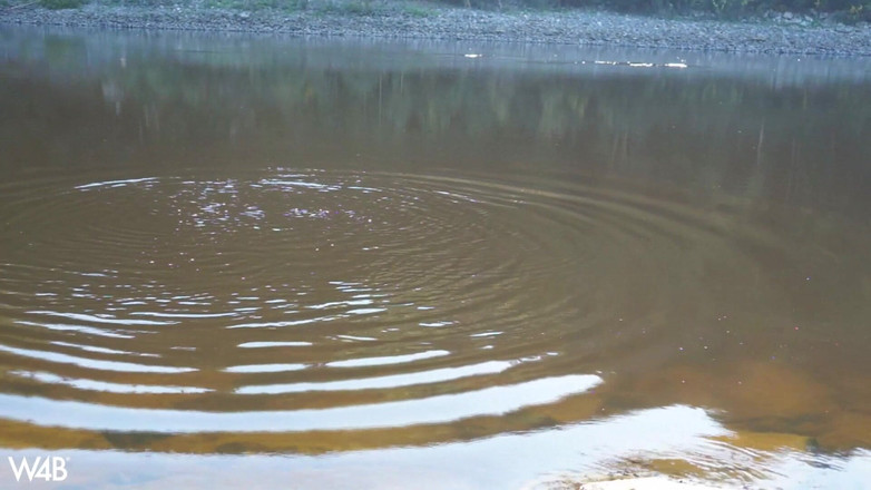 Watch4beauty: Di dekat Bendungan