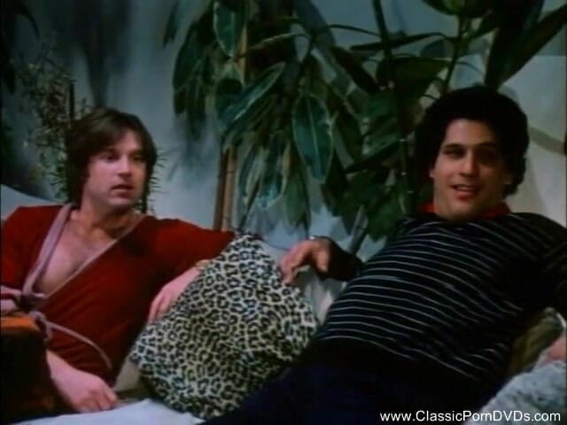 Classic Porn DVDs: 野生の三人組と角質レトロな女の子