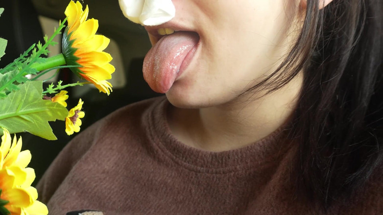 AmayaMori: Entra starnutendo in auto il mio fiore di plastica reazione...