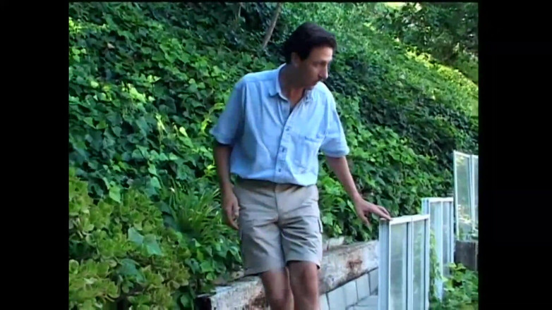 American Idol X: Awek Amerika menghisap dengan lebih baik vol.2 - episod 3