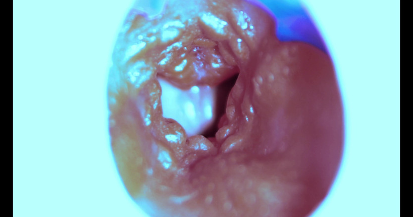 SEXY_GUYBEST: 我是如何从内部操的！相机里面！