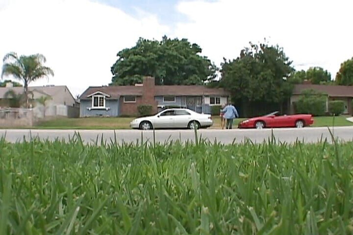 Alfacontent: Трійка, яку вона завжди хотіла