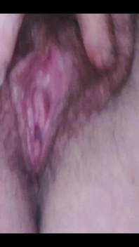 Hairy Pussy in Your Face