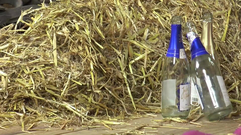 DEUTSCHLAN PORNO XXX: Une Asiatique blanche et noire baise ensemble