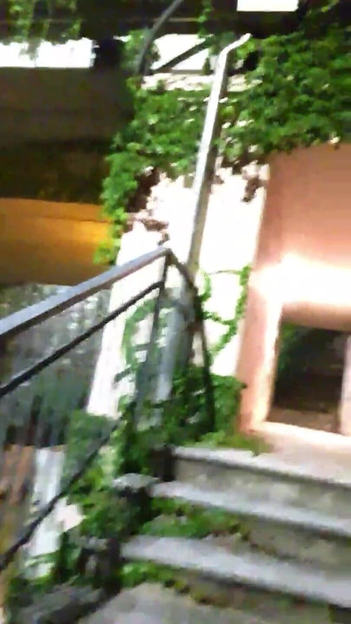 Slutboyben: Slutboyben Cam4 Sexig cruising chick II