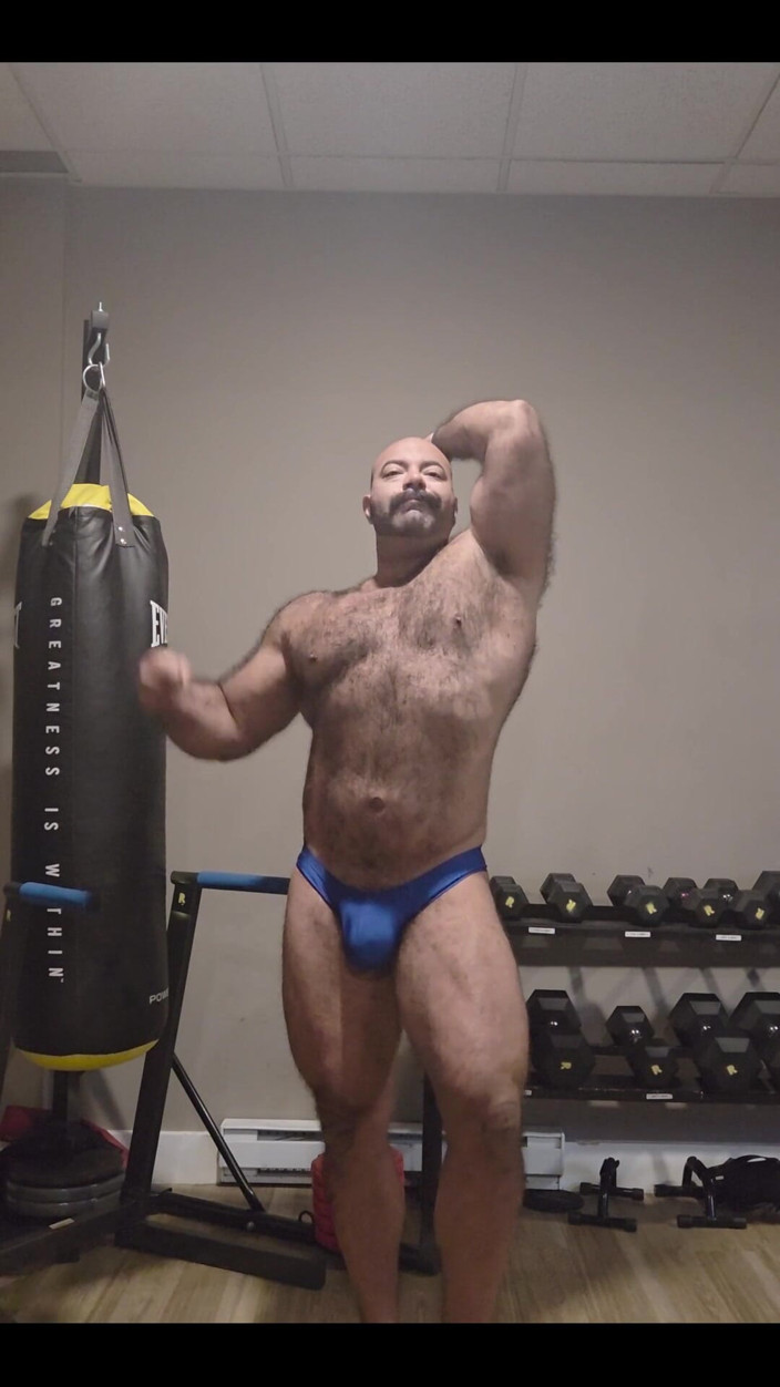 Lobo: Muscular