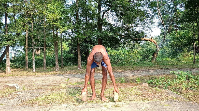 LinearOrnament35: Fiting Power