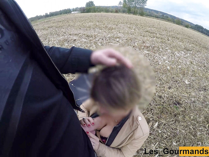 Les Gourmands: MiLF in calze gonna e lingerie sexy all'aperto, fa un...