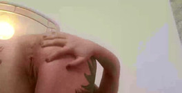 Mary Rider Pornstar: Stream Started