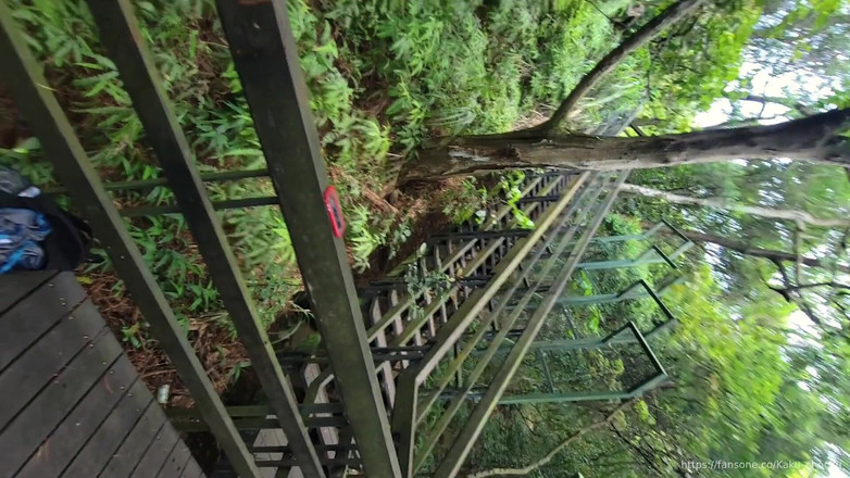 Calven: La vita sblocca cannoni selvaggi sulle montagne