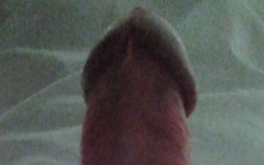 Danny Doe: 라이즈와 샤인즈