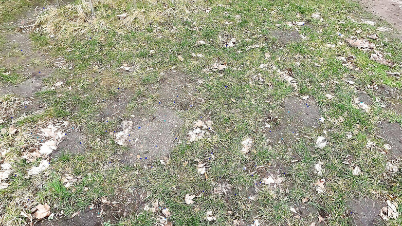 Bouncy Tits Action: Titpunishment w Starym Zamku