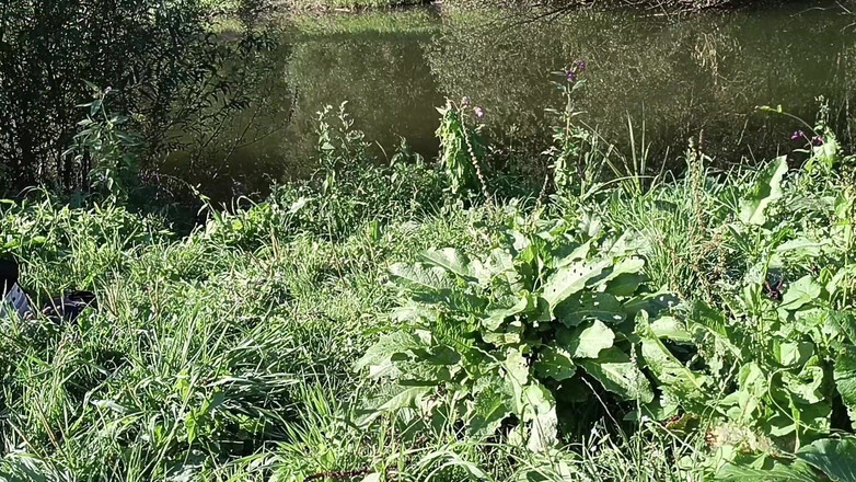 kickerscooter: Nude Beach