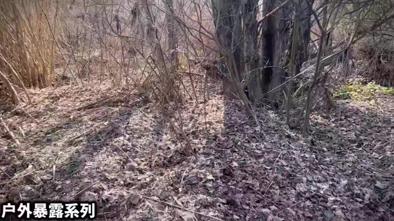 Shocked sprite: I Like to Go to a Deserted Place Alone and...