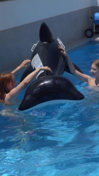Meninas lésbicas estão se divertindo em uma piscina com um tubarão inflável