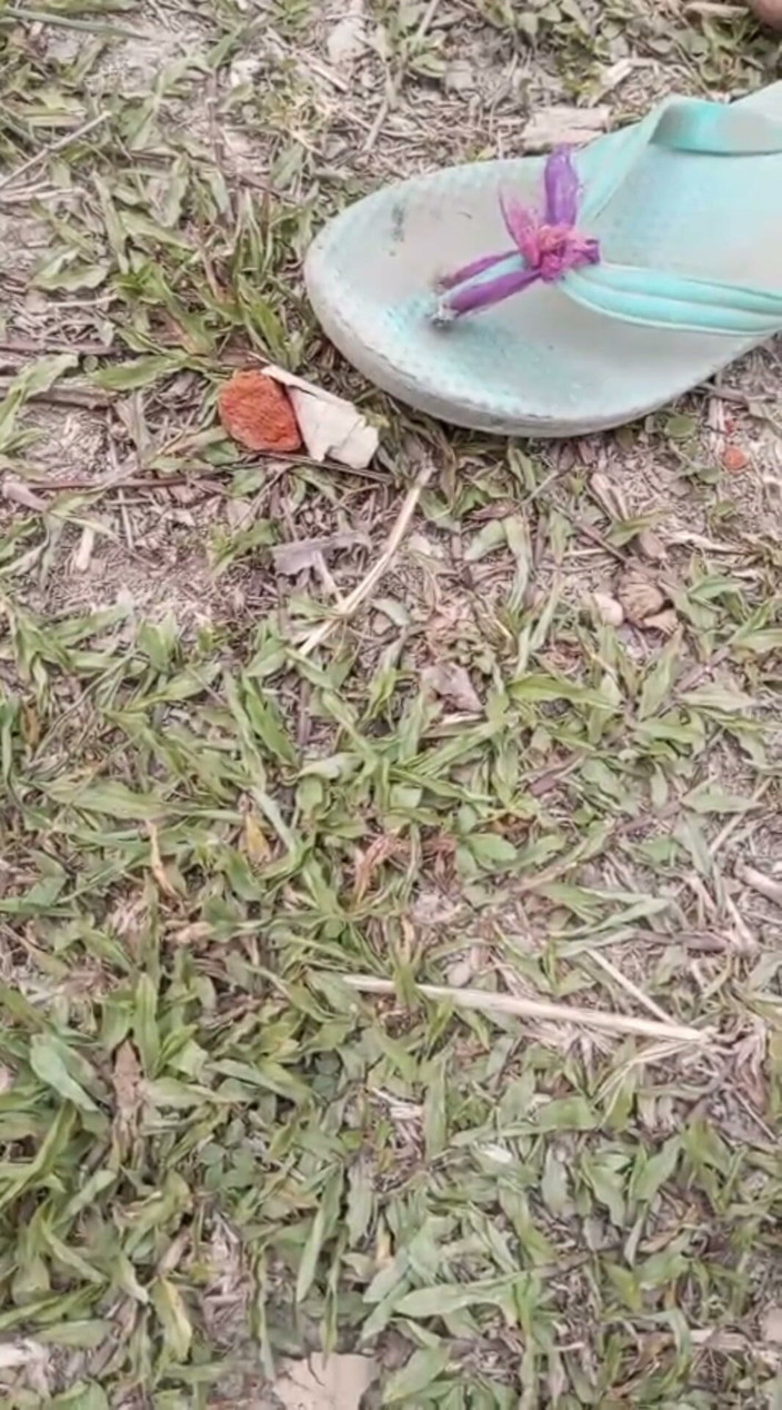 YangZi 69: Jangal Me Chut Ka Maggal