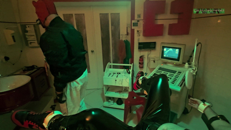 The Playing Puppies: 두 번째 검사에서 강아지를 재생