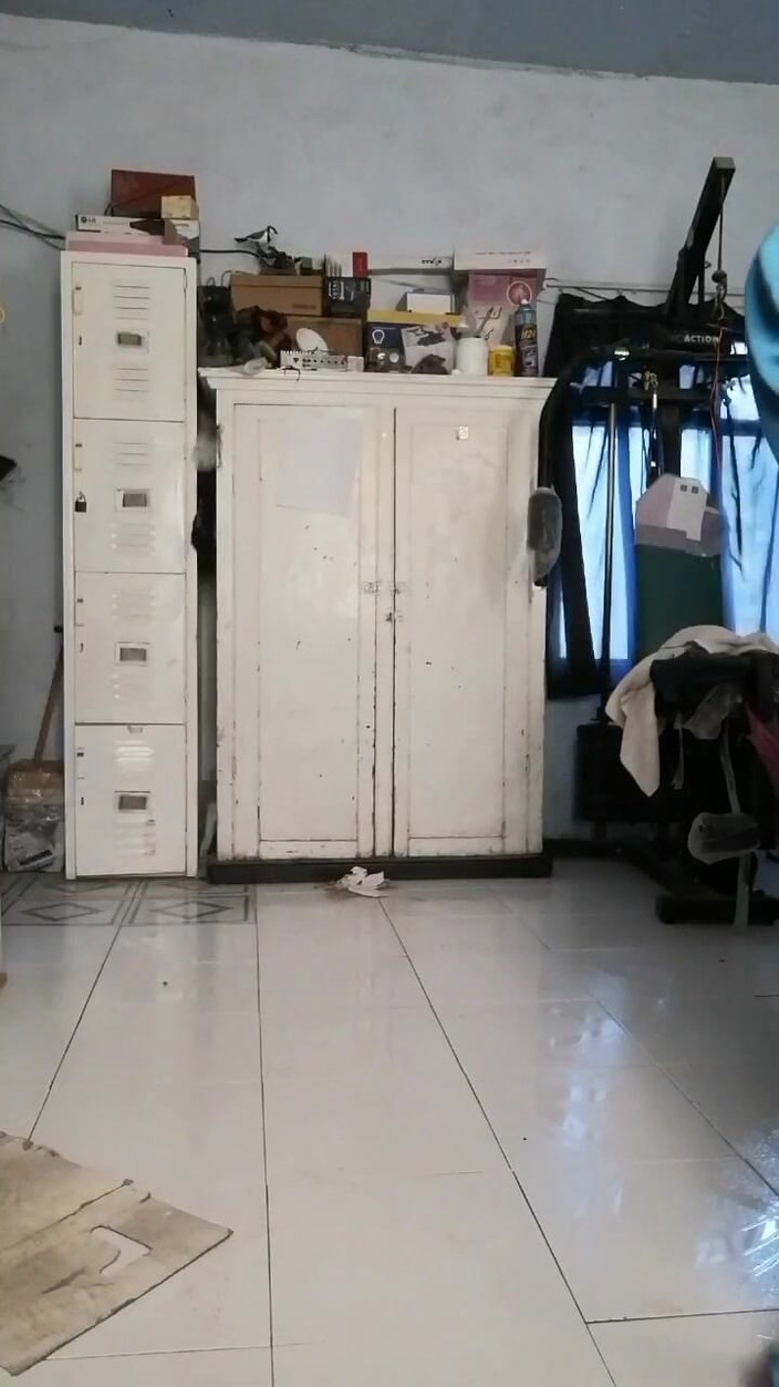 Marga9012: 그 피에노타스