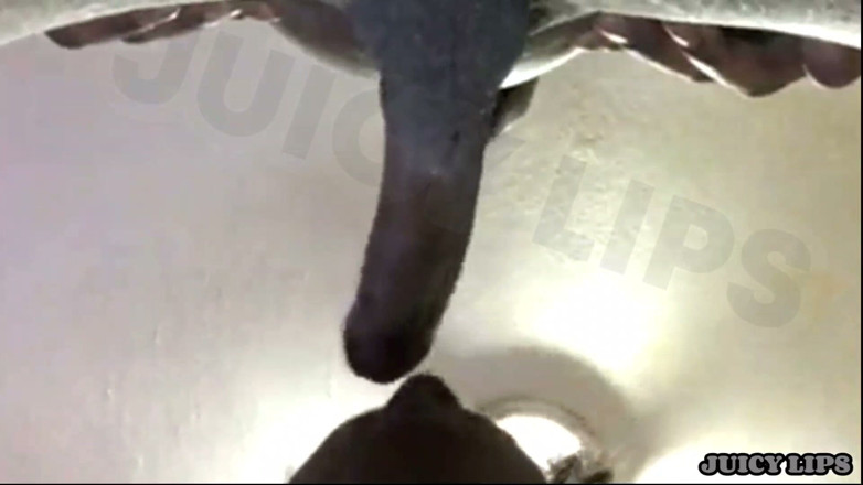 Bigmaj414: Juicy Lips-mouth Got so Sloppy Slurping His Dick He Bust...