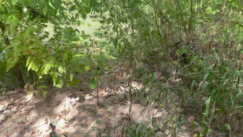 MaxArcane: Bạn trai của tôi đụ tôi trong rừng và bắn tinh...