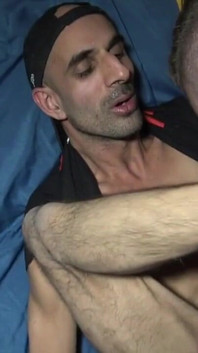 Aaron生生使用的猪路德维希