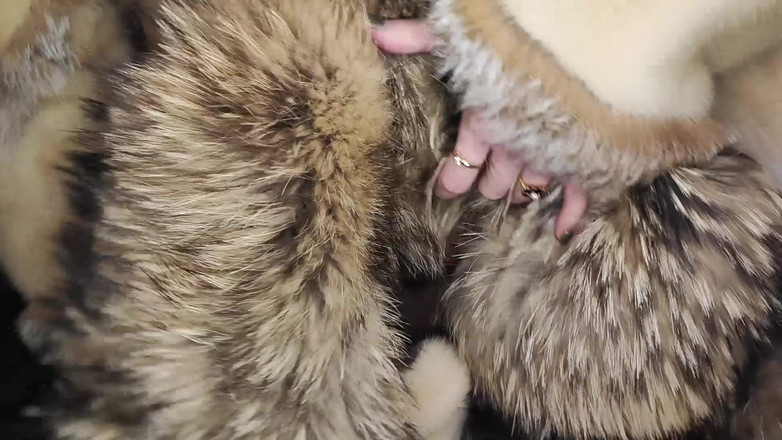 Princess18_: Kožešina ze mě udělá anální děvku