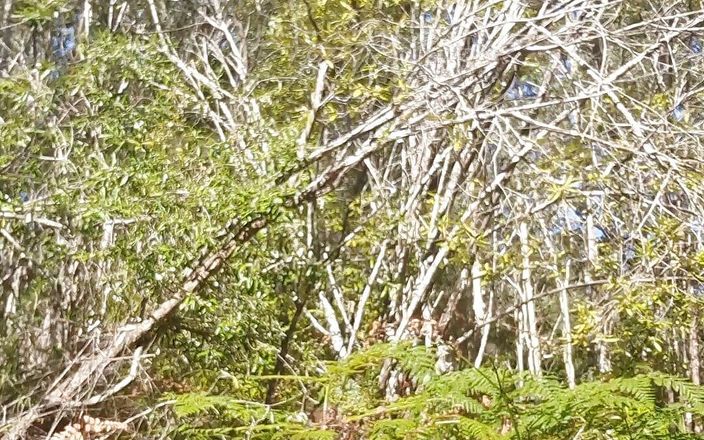 Madaussiehere: Bush Walking Wank in Speedos