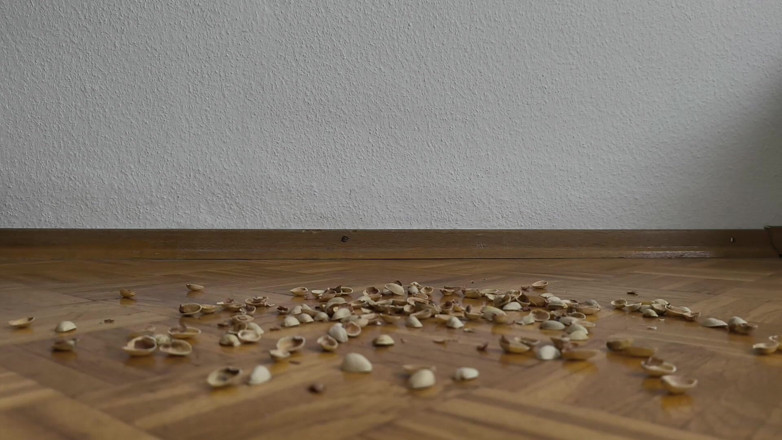 Your QueenXoXo: Femeie de 130 kg care se plimbă pe shells de fistic -...
