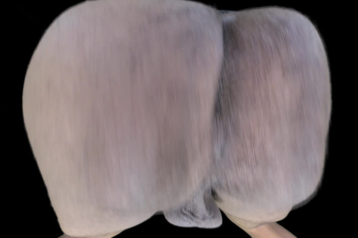 Manhole VR - Indian Hairy Crack & Balls: Díra VR představuje - chlupatá indická crack &amp; balls sv. 1