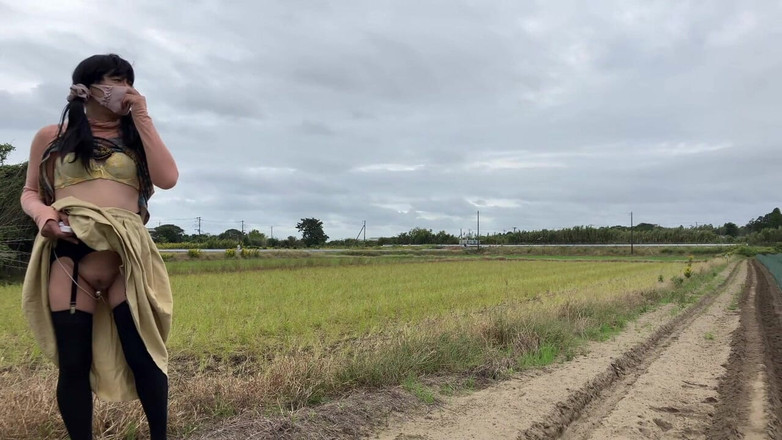megu2002: Exposição A caminhada está cheia de perigos