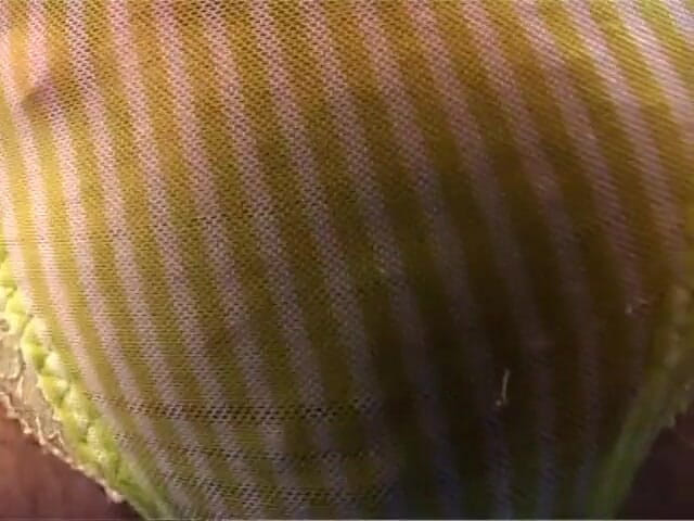 Milf in Love: Milf with big boobs love to play with her body