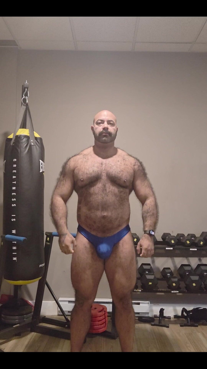 Lobo: Muscular