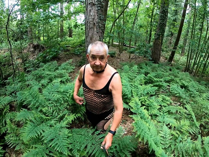 Andy: Прогулянка 31 2025