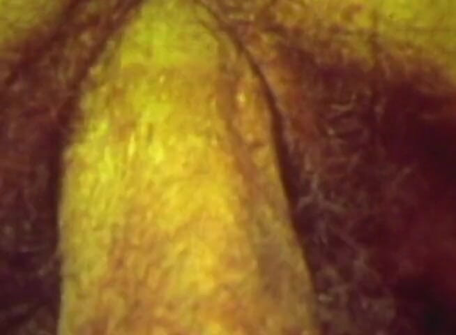 Vintage Life: Retro Green-tinted Vintage Classic with Hairy Brunette Orgy