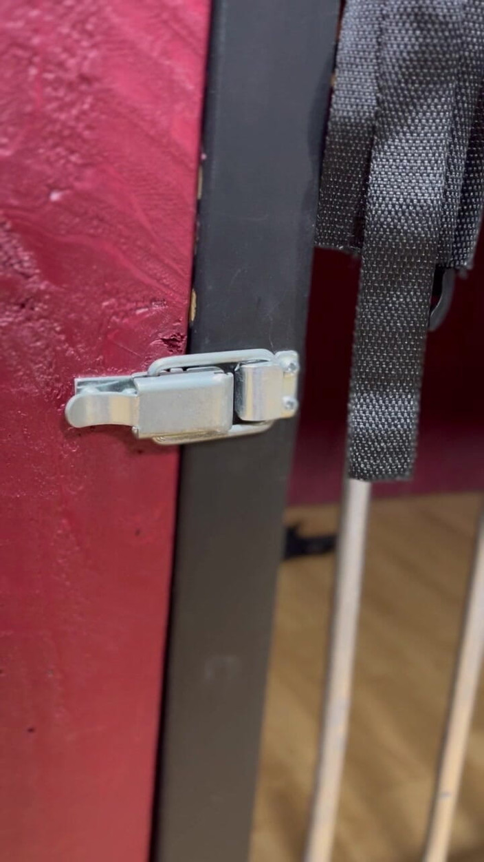 Maitresse Clara: Uma noite sob minhas ordens