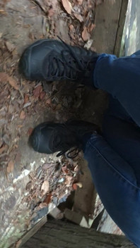 Fun in the Forest